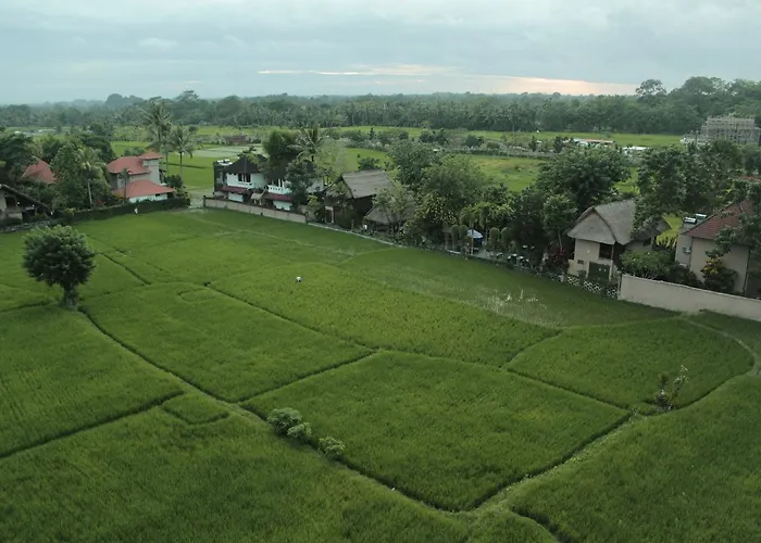 Hotel The Evitel Ubud